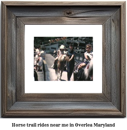 horse trail rides near me in Overlea, Maryland